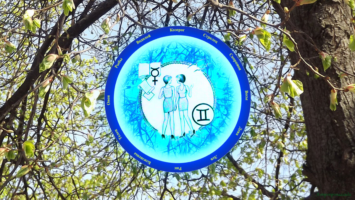 Гороскоп для Близнецов с 1 по 28 апреля 2024. 