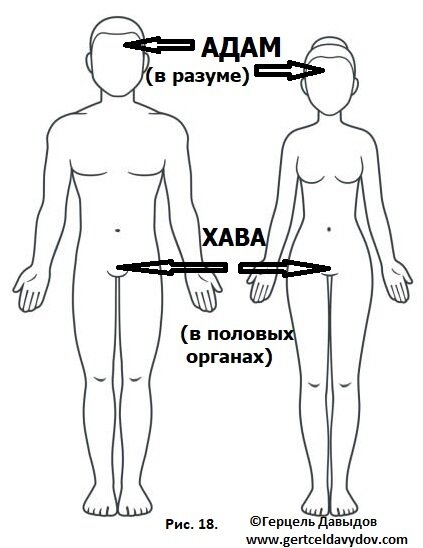 Адам и Хава в теле человека (после грехопадения)