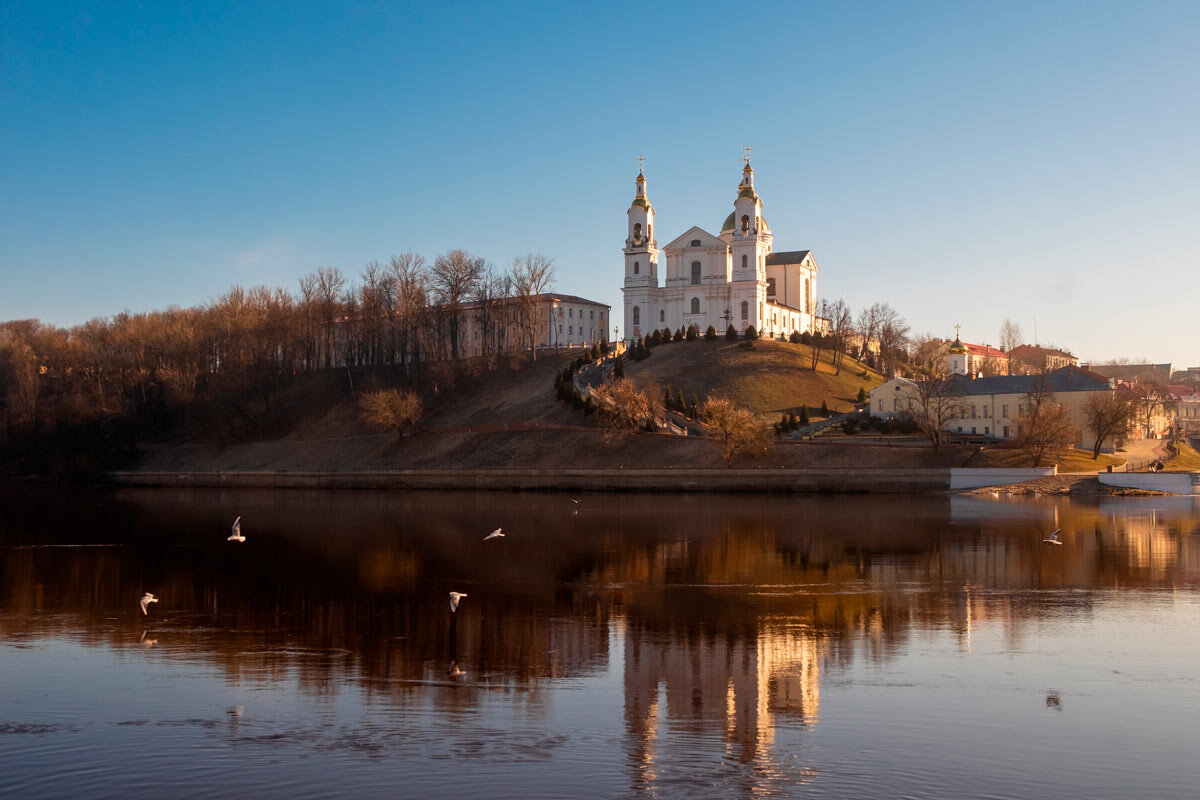    Фото: Olga Maksimava / Shutterstock.com