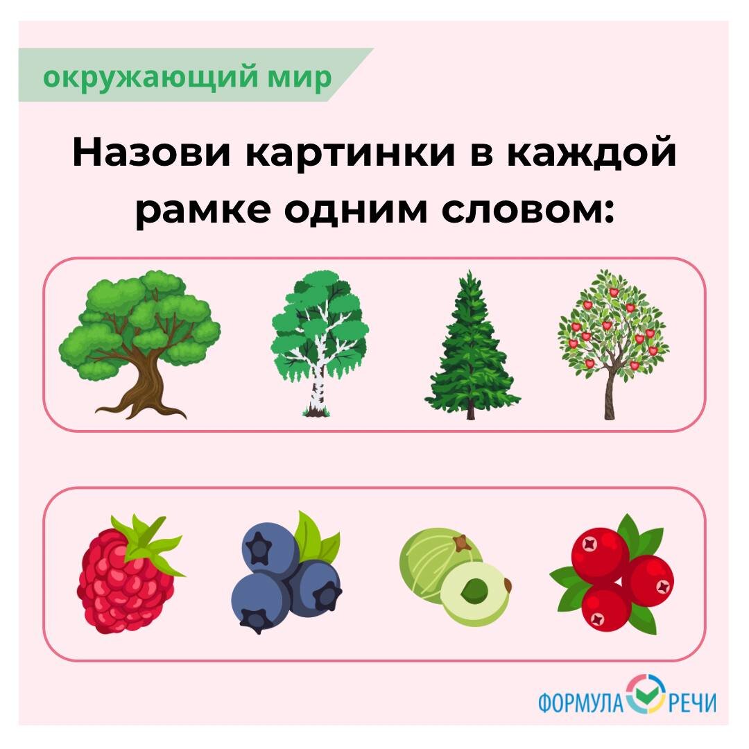 Окружающий мир