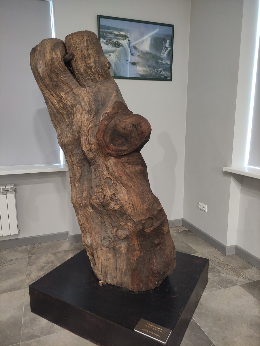 © Яна Левашова 