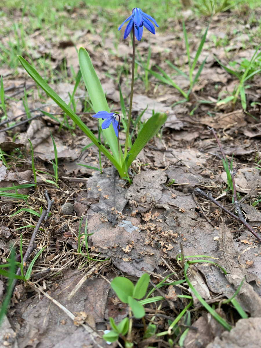 Фото автора канала




