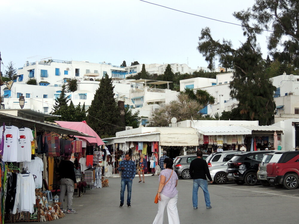Вид на Бело-голубой город