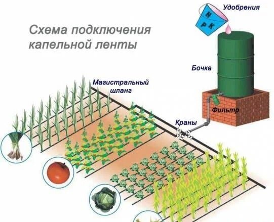 Фото из интернета.Что то будет вроде этого.