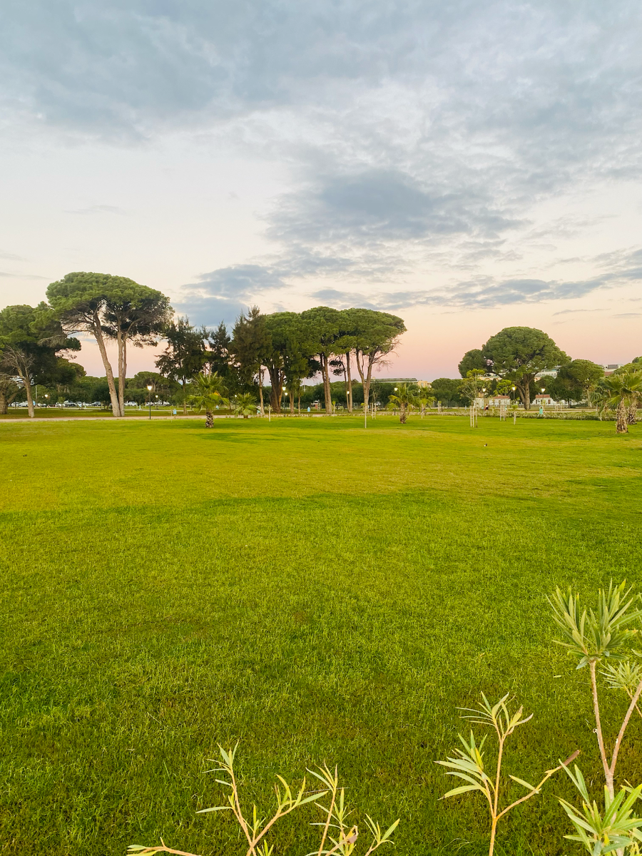 Парк в районе Белек