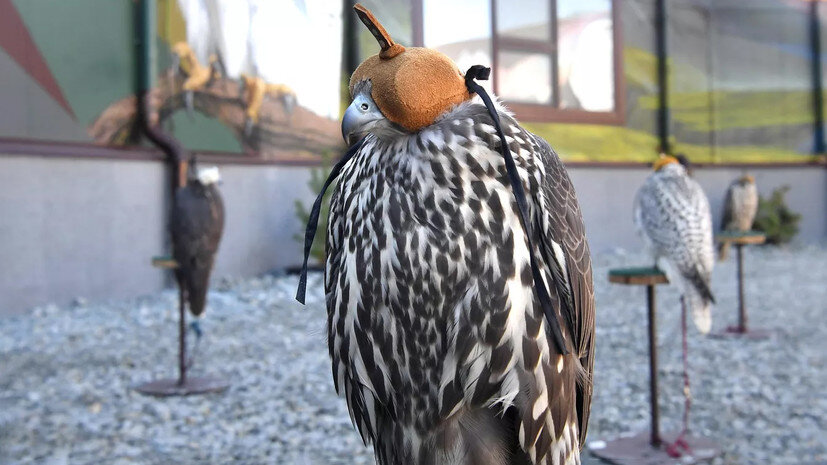   РИА Новости