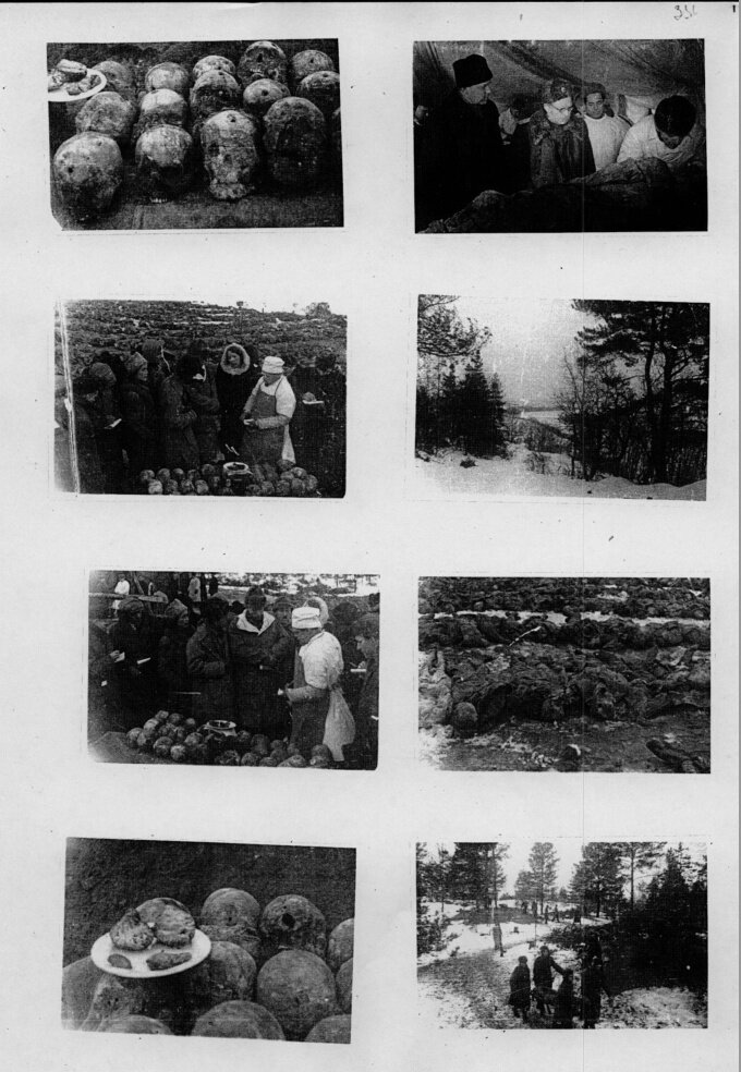 Если изучать дело серьезно, это совсем не материал статьи, это дело рук целой группы историков, то можно обнаружить массу доказательств, как гильзы, пистолет и даже пуговицы, что всё это дело рук нацистов, как и заявил Бурденко, но ему не поверили.