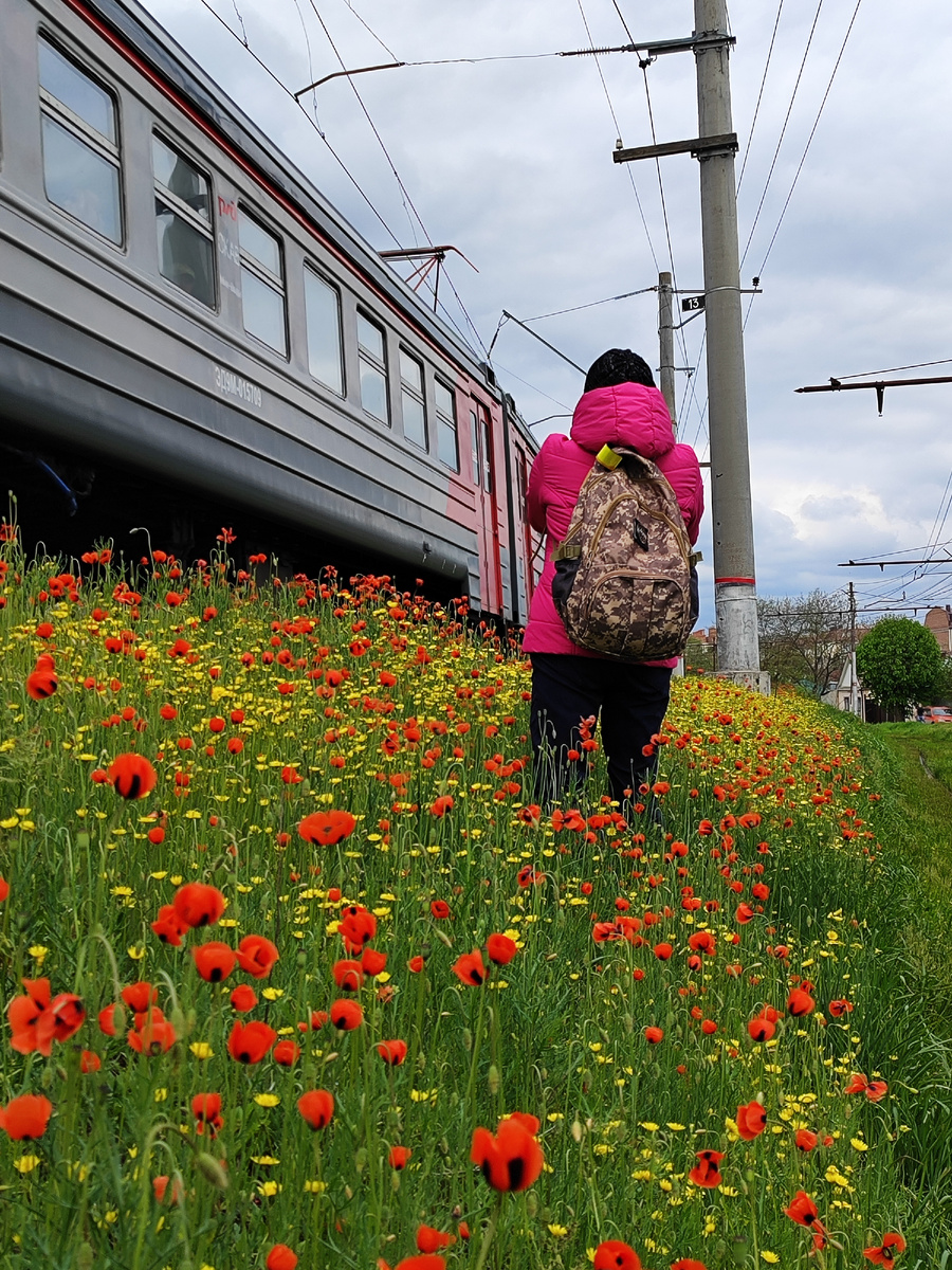 Красивые картинки недолго будут радовать, если в повседневной бытовой жизни что-то не устраивает (фото автора)