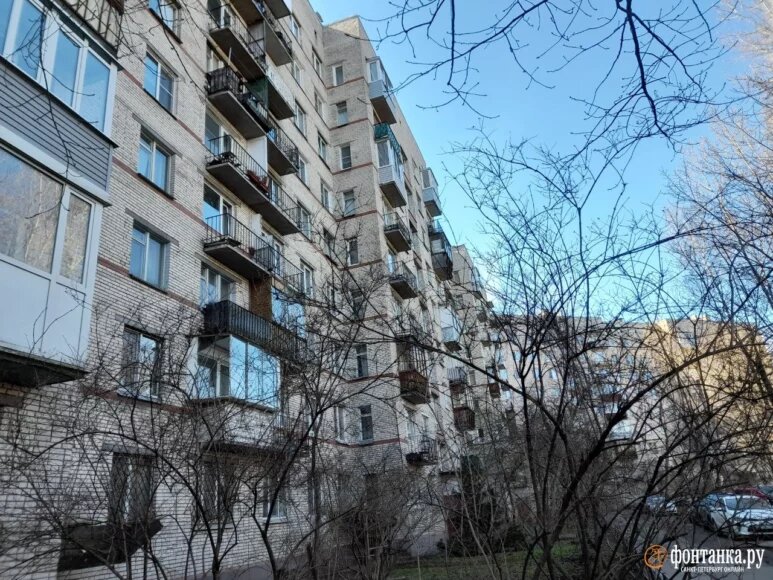 Фото: fontanka.ru