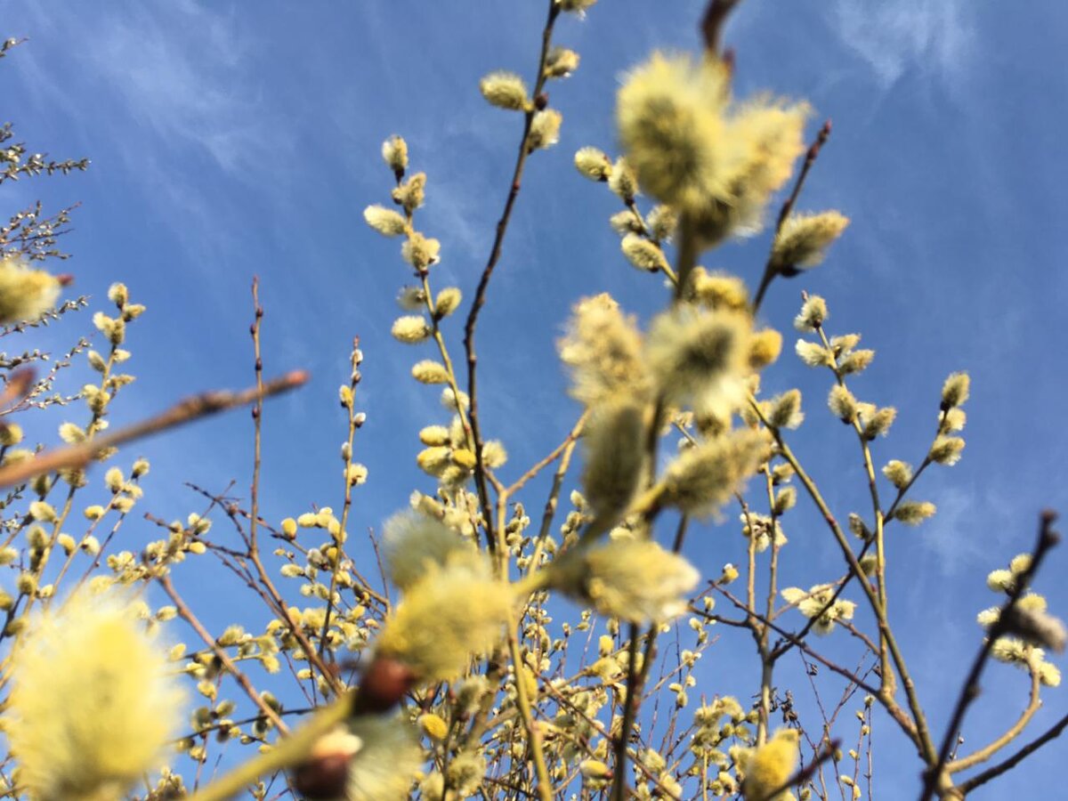 Фото хозяйки блога