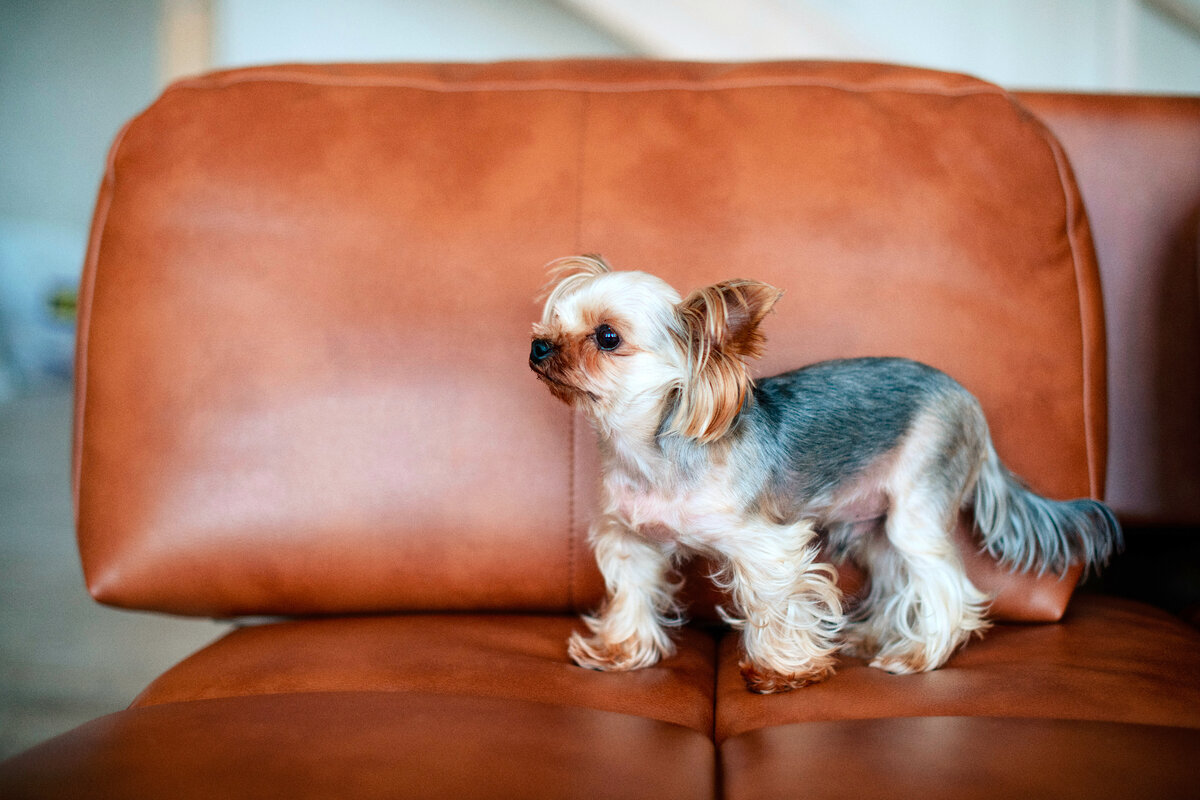 Лучшая жидкая кожа