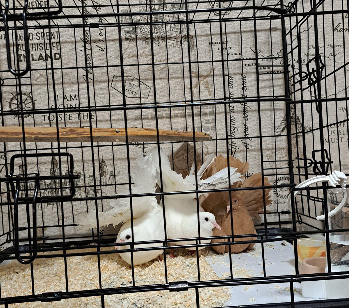 Первый день на новом месте