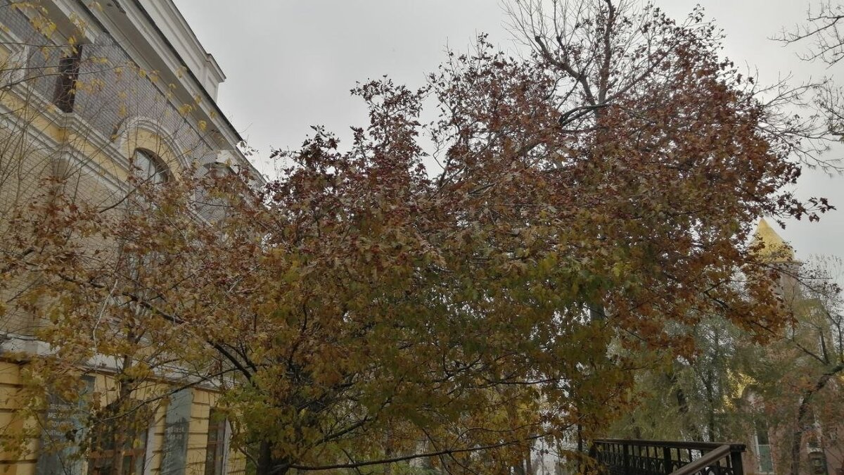     В апреле 2024 года Общество изучения Амурского края отмечает 140-летие с момента основания. В честь столь знаменательной даты ОИАК решило сделать подарок владивостокцам и гостям города.