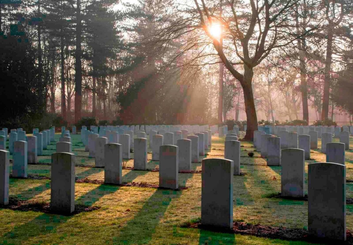 Изображение взято из открытых источников интернета. 