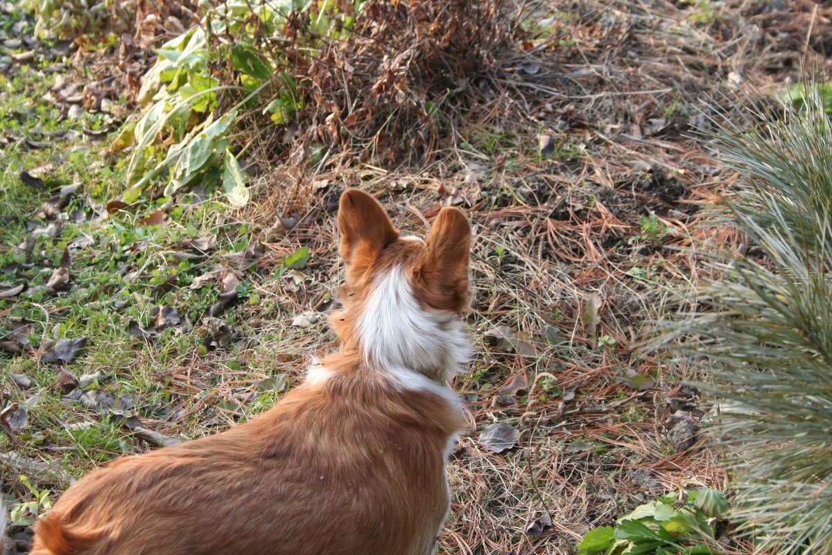 Все под контролем....