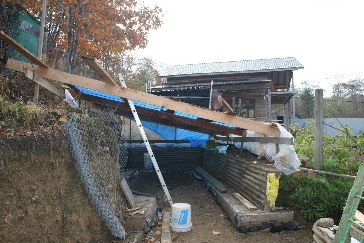 "Букингемский дворец" - 2016