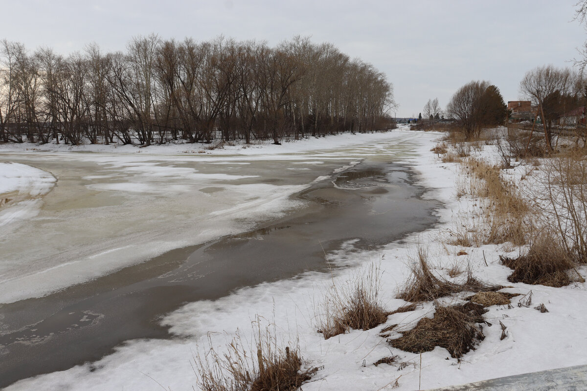 р. Оша (с. Колосовка)