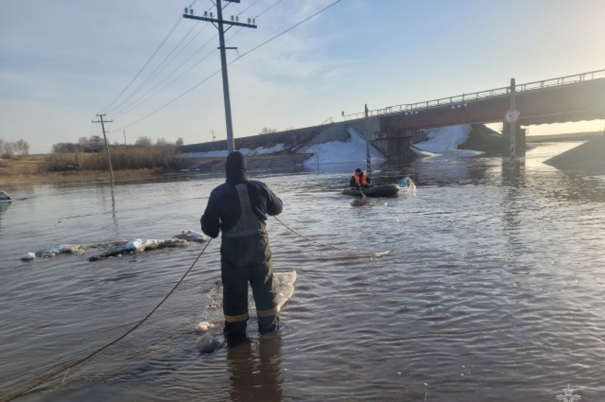    В МЧС по Алтайскому краю рассказали, где поднимется вода до опасных отметок