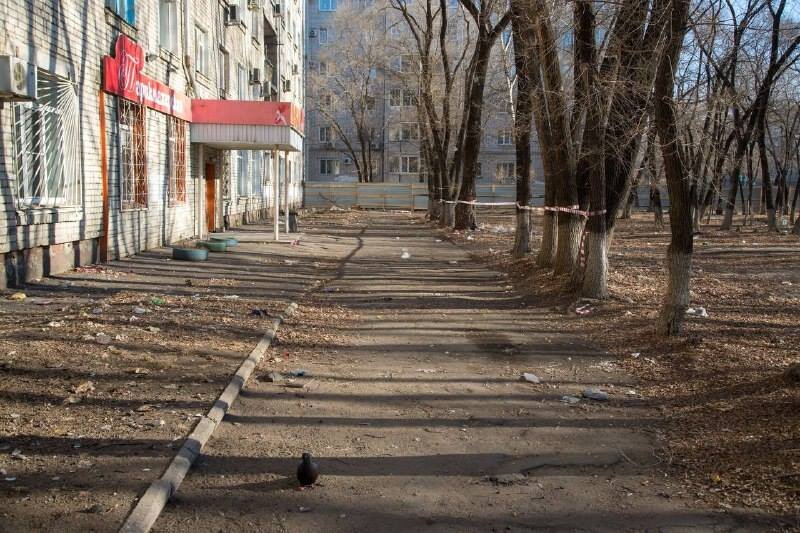    Фото: телеграм-канал Олега Имамеева
