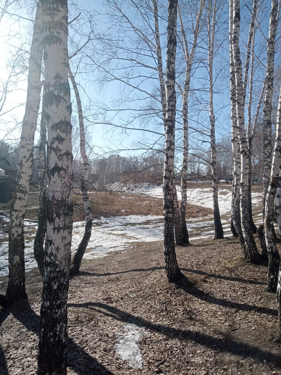 Сегодня утром