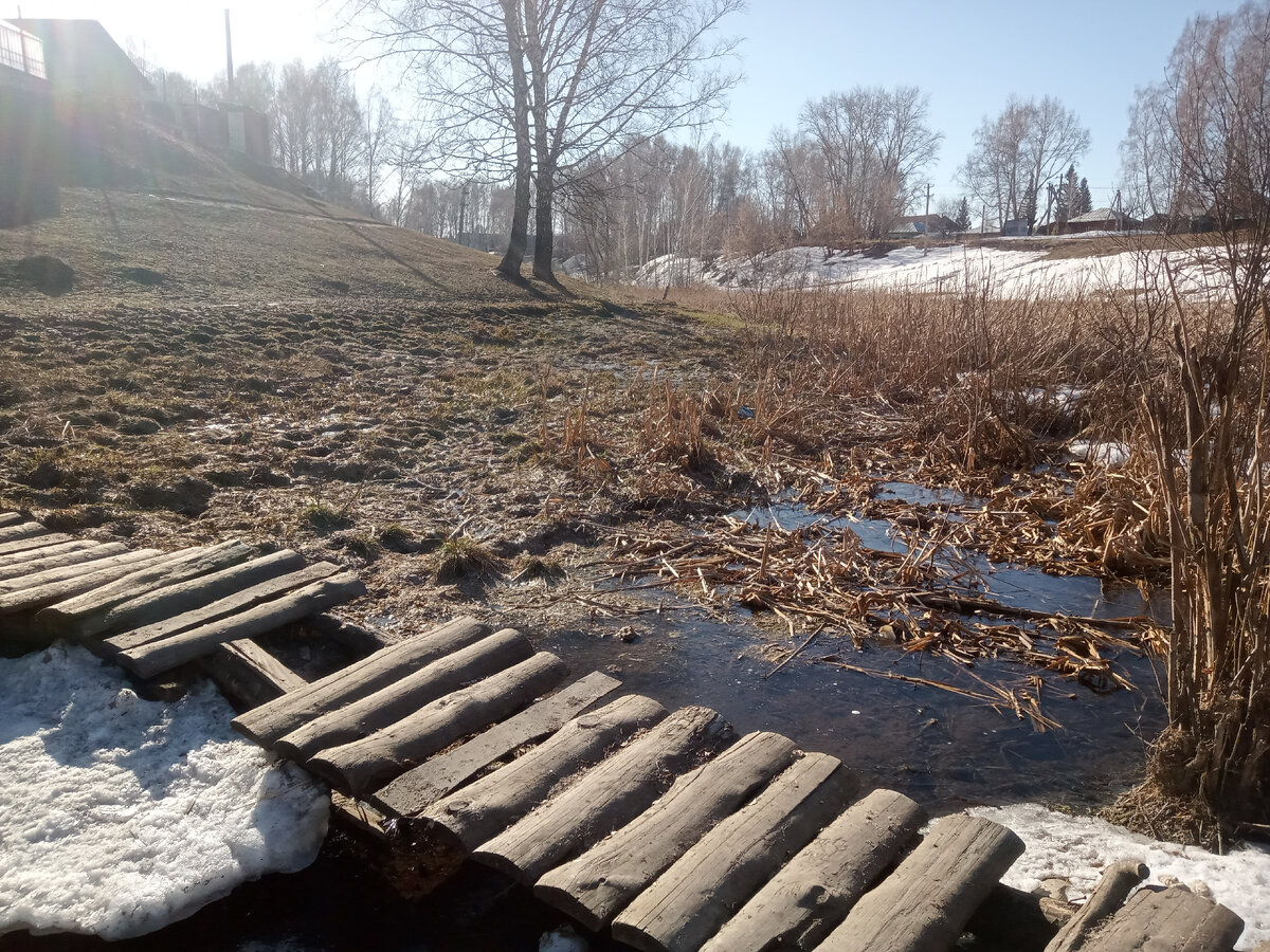 В нашем логу до сих пор снег 