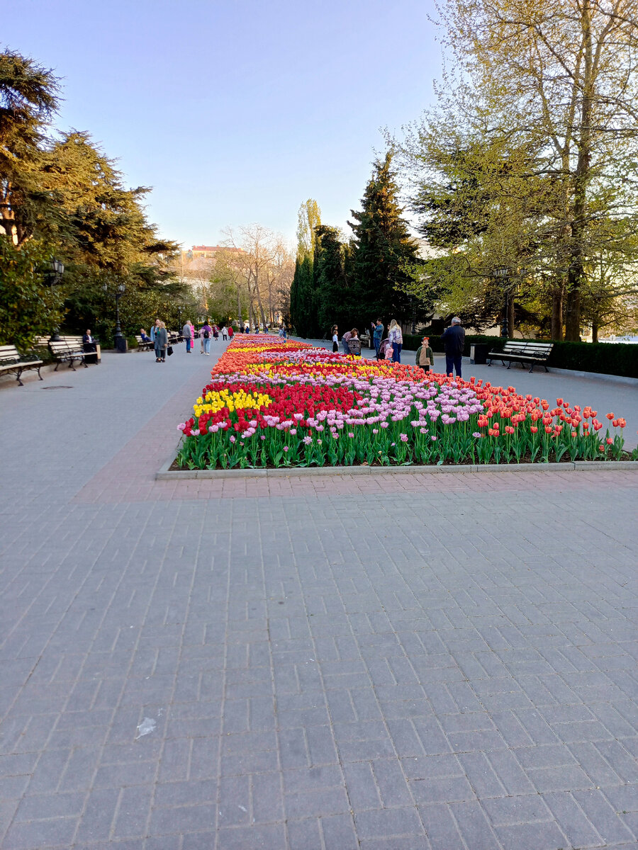 Тюльпаны тут уже посажены по-другому.