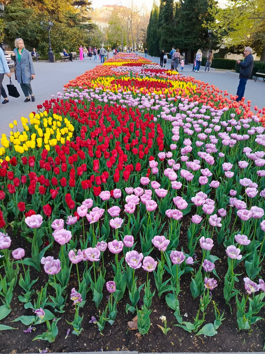 Некоторые уже отцветают.