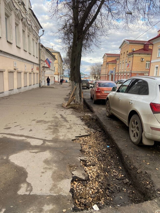    «Повредили всю корневую систему». Кировчане возмущены работами по ремонту тротуаров