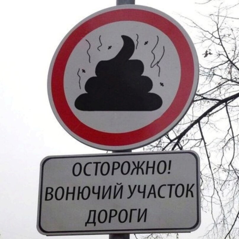 Из сети