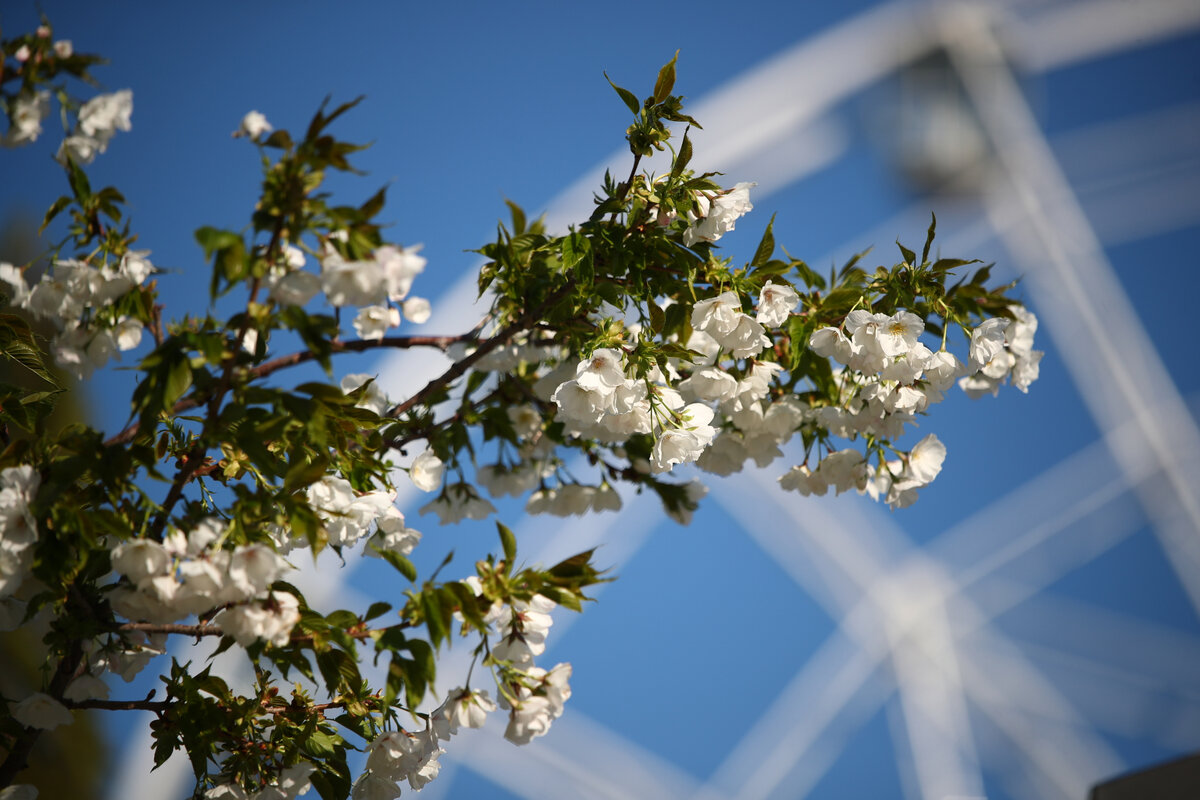 © Фото: ИД «Волгоградская правда» / архив