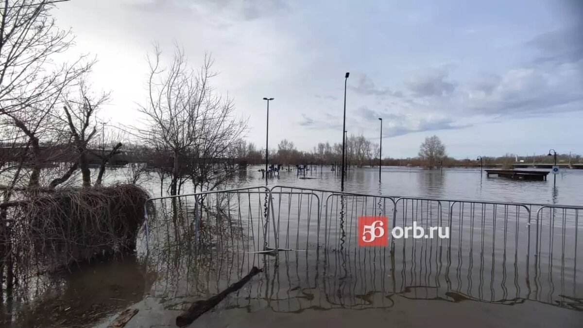 На море не поедем, теперь есть свое»: как выглядит набережная Оренбурга 12  апреля? | 56orb.ru | Дзен