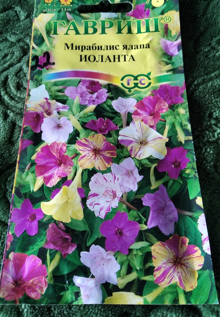 Моя новая любовь.