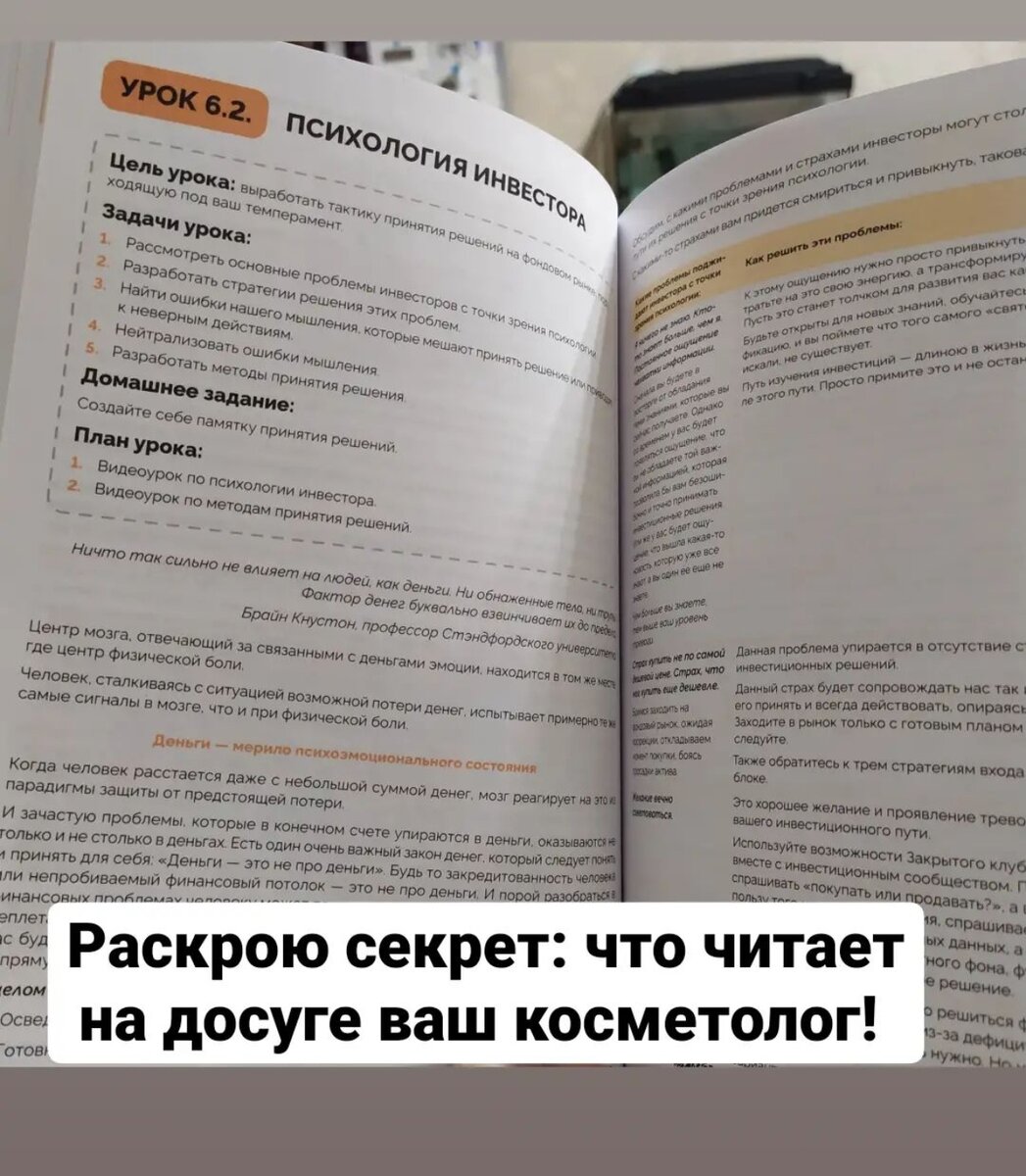 История о том, как я хотела прокачать свою финансовую грамотность, а в  итоге завела кота, точнее рыжую кошку | Доктор Гузева про Косметологию |  Дзен