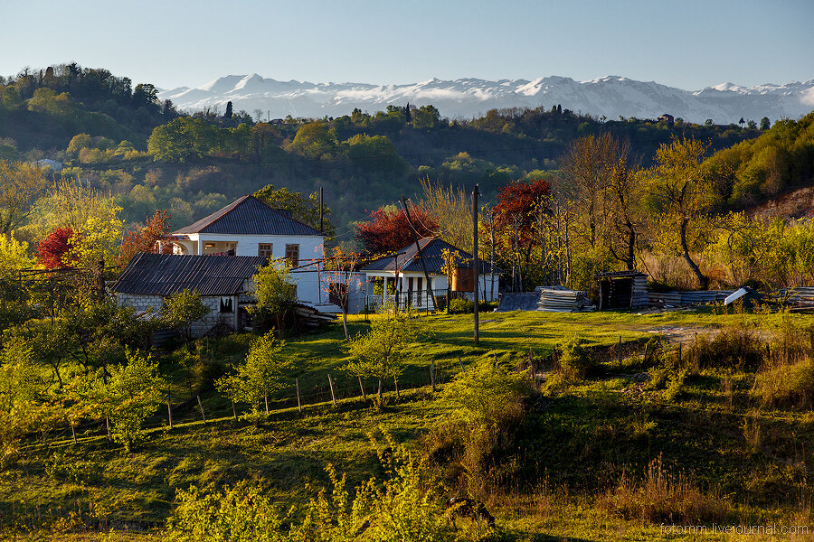 фото из интернета