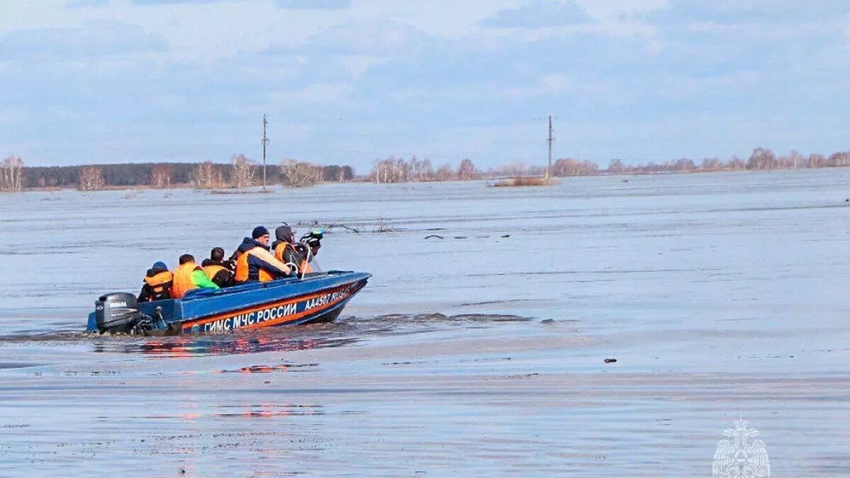 В Курганской области затопило более 500 домов и приусадебных участков |  НОВЫЕ ИЗВЕСТИЯ | Дзен