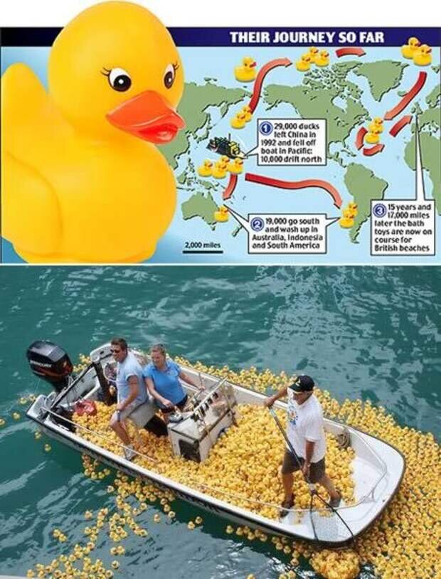 карта сокровищ ))