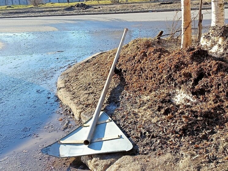     Читатель "МК в Карелии"