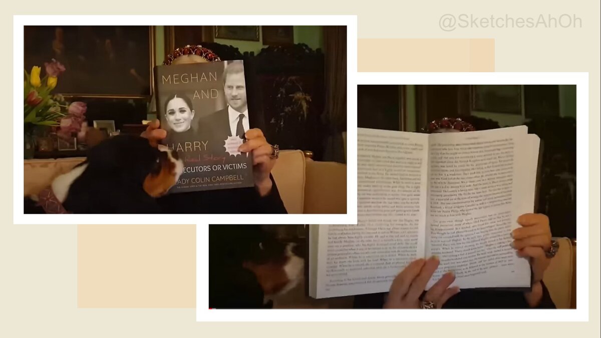 "Убийственная" книга, даже собака в шоке))) Коллаж автора