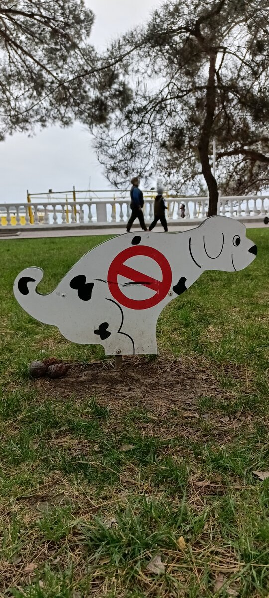 Интересно, собаки понимают, что на газонах гадить нельзя?