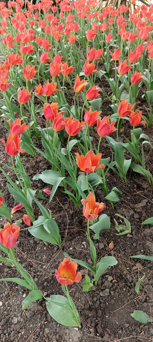 Кругом, вообще-то, очень красиво