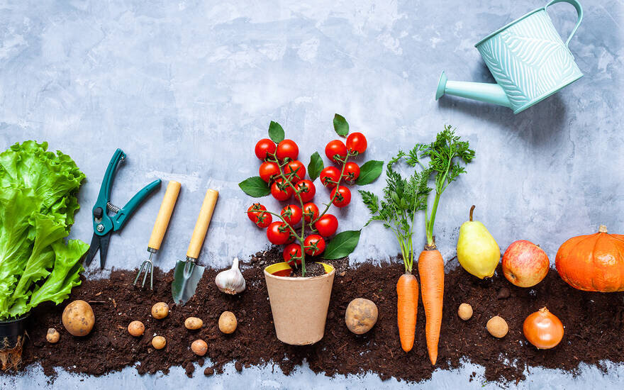     Monstar Studio, shutterstock.com