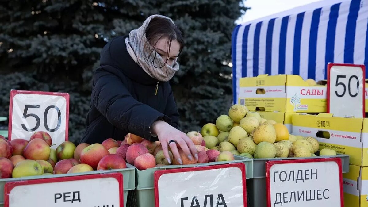 Адреса продажи дешевой еды назвали жителям Ставрополя | newstracker.ru |  Дзен