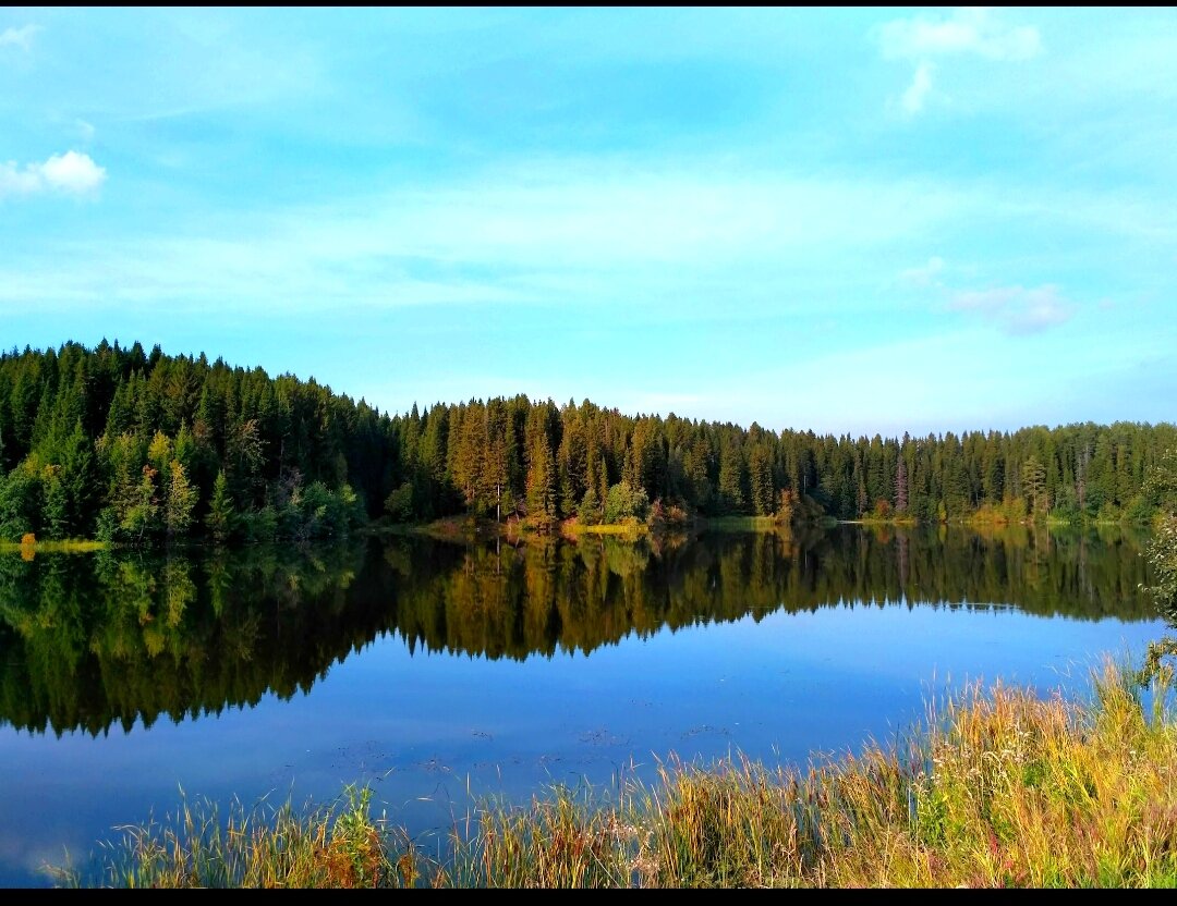 Пруд в нашем посёлке. Как зеркало. 