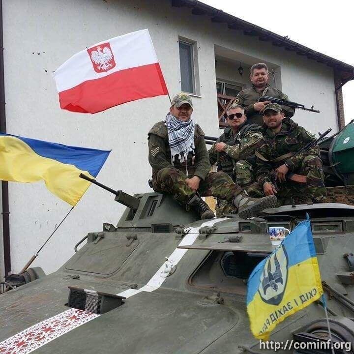 Сколько поляков на украине