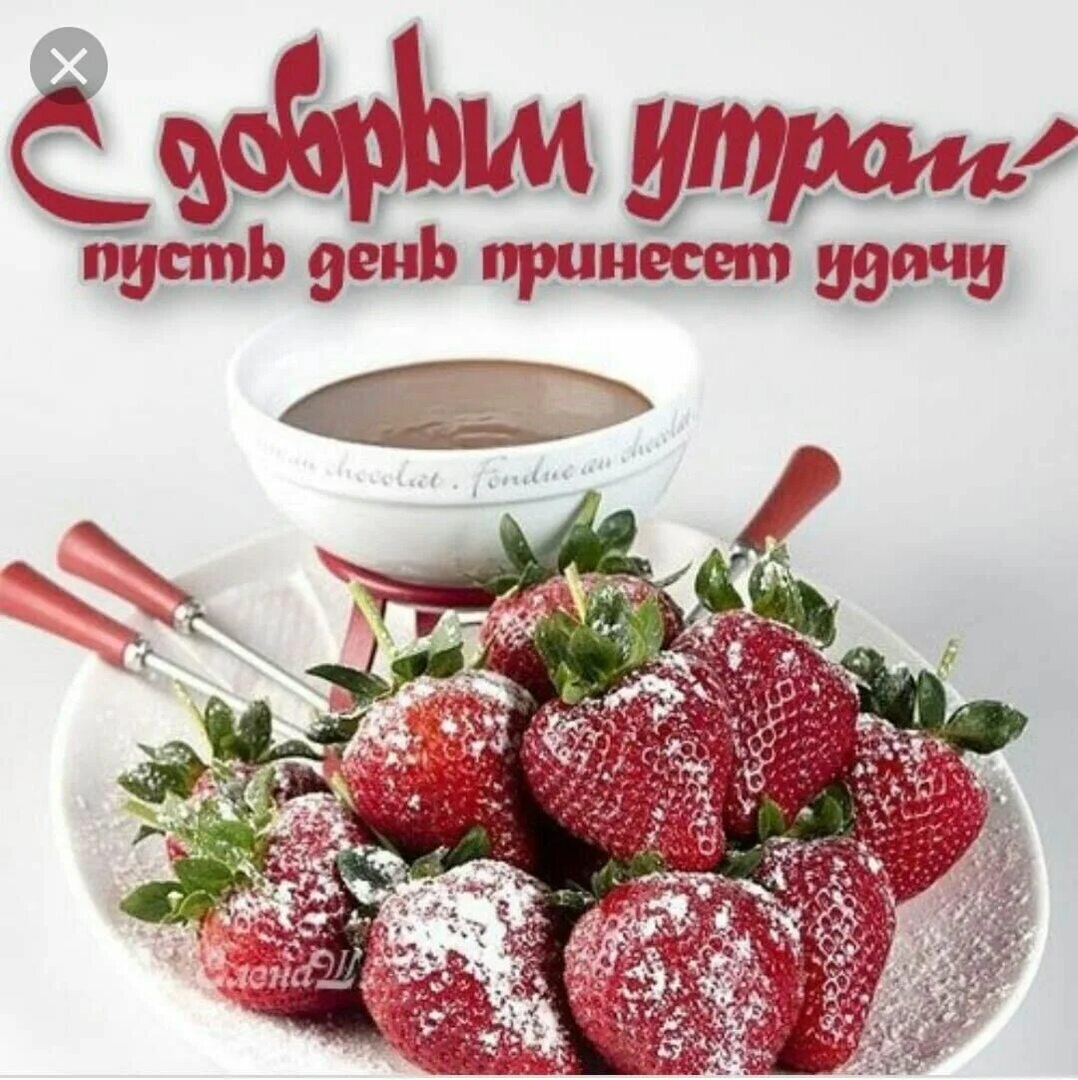 Картинка из интернета