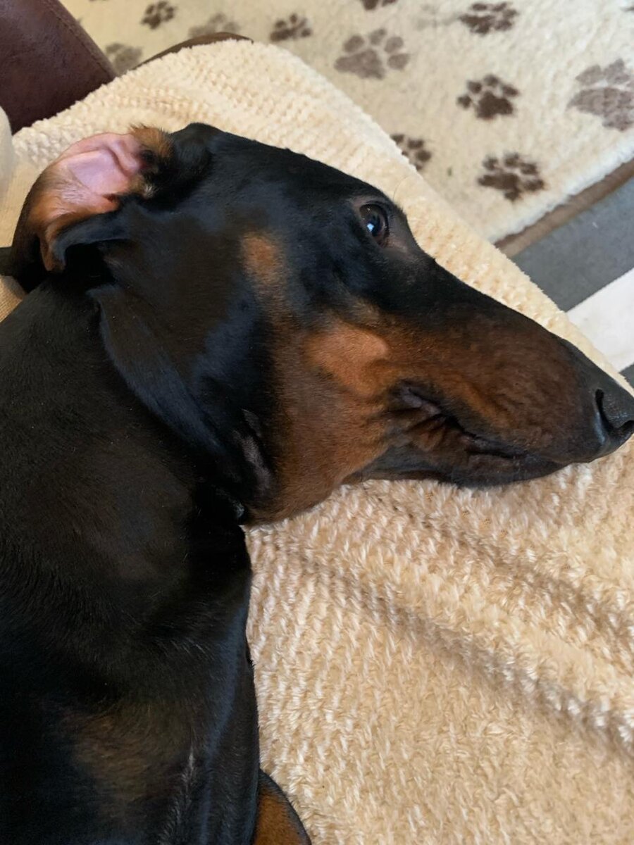 Вот такое фото я получила. 