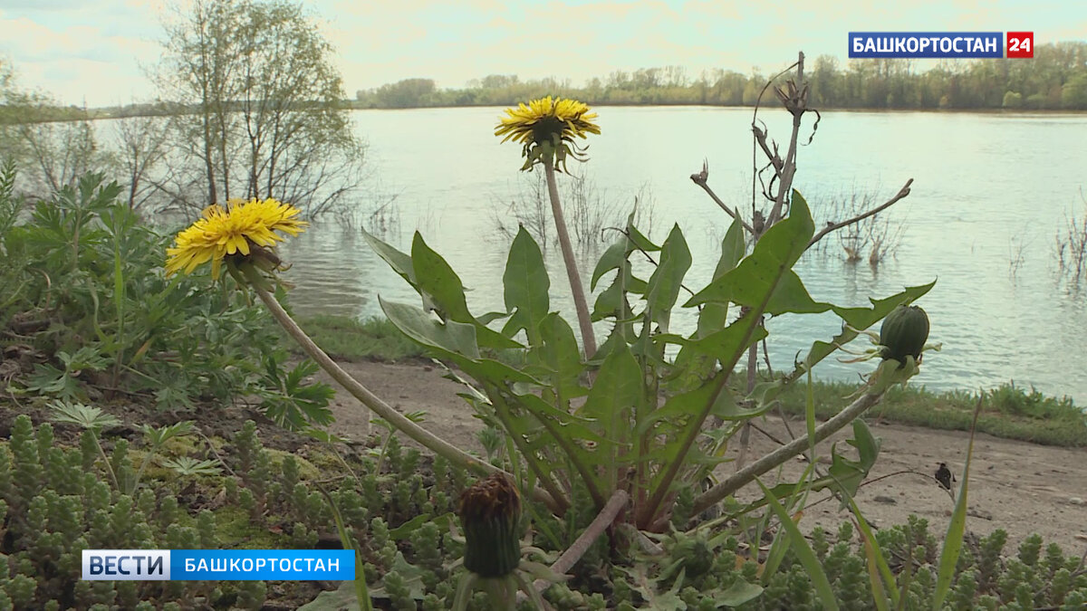    В выходные в Башкирии немного похолодает