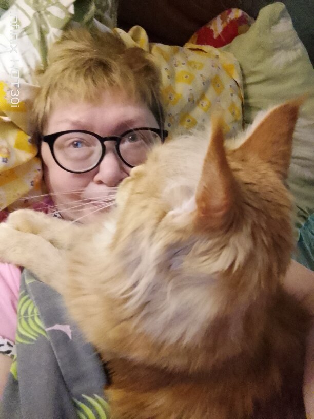 "Хозяйка, все будет хорошо! ".😻😺😻
