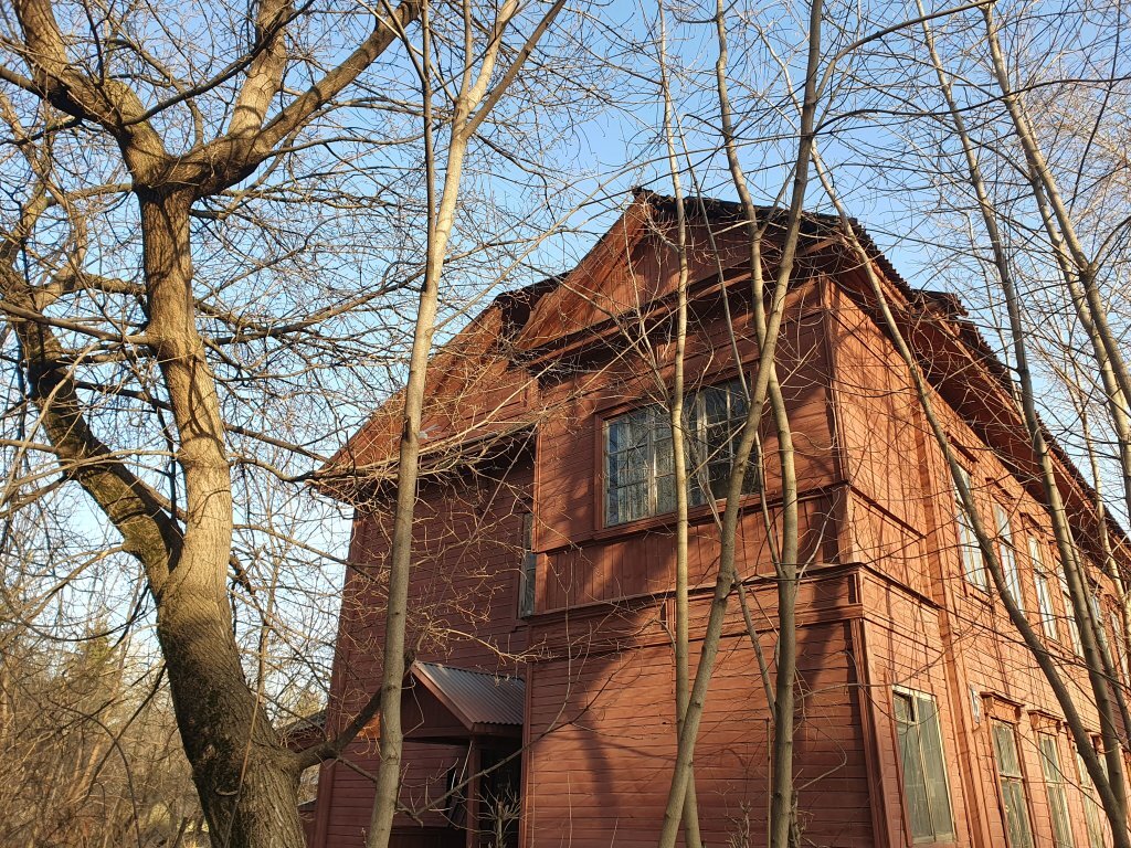 Фото: Ксения Ражева