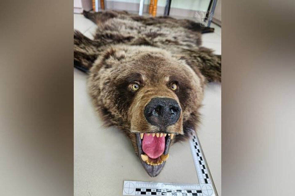    Женщина хотела привезти ковер в качестве сувенира. Фото: таможня РФ